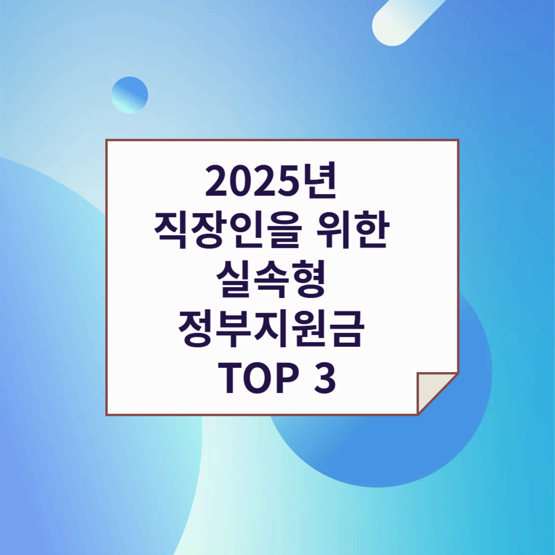 2025년 직장인을 위한 실속형 정부지원금 TOP 3