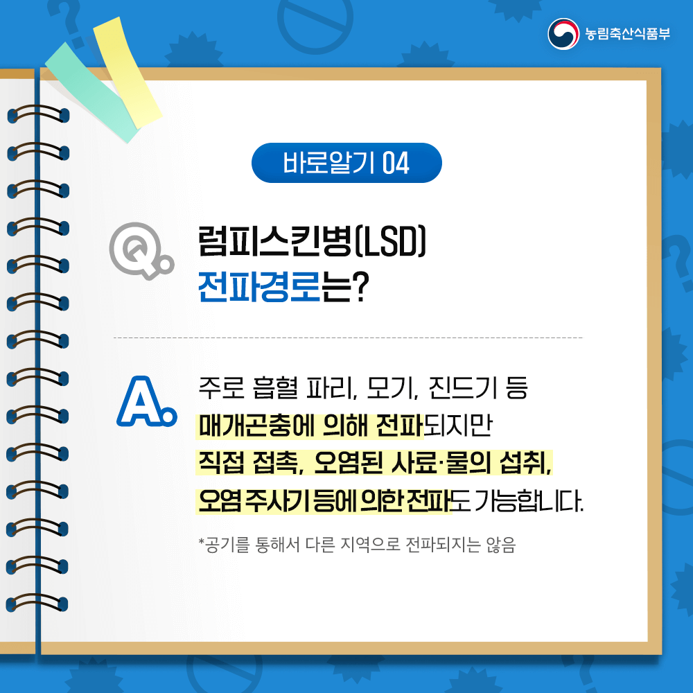 럼피스킨이 사람에게 미치는 영향과 럼피스킨이란?