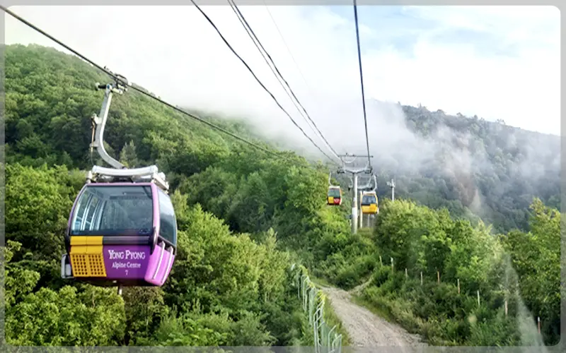 발왕산 케이블카_15