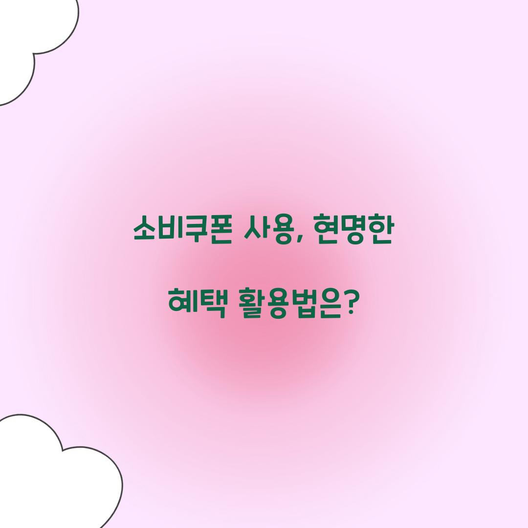 소비쿠폰 사용
