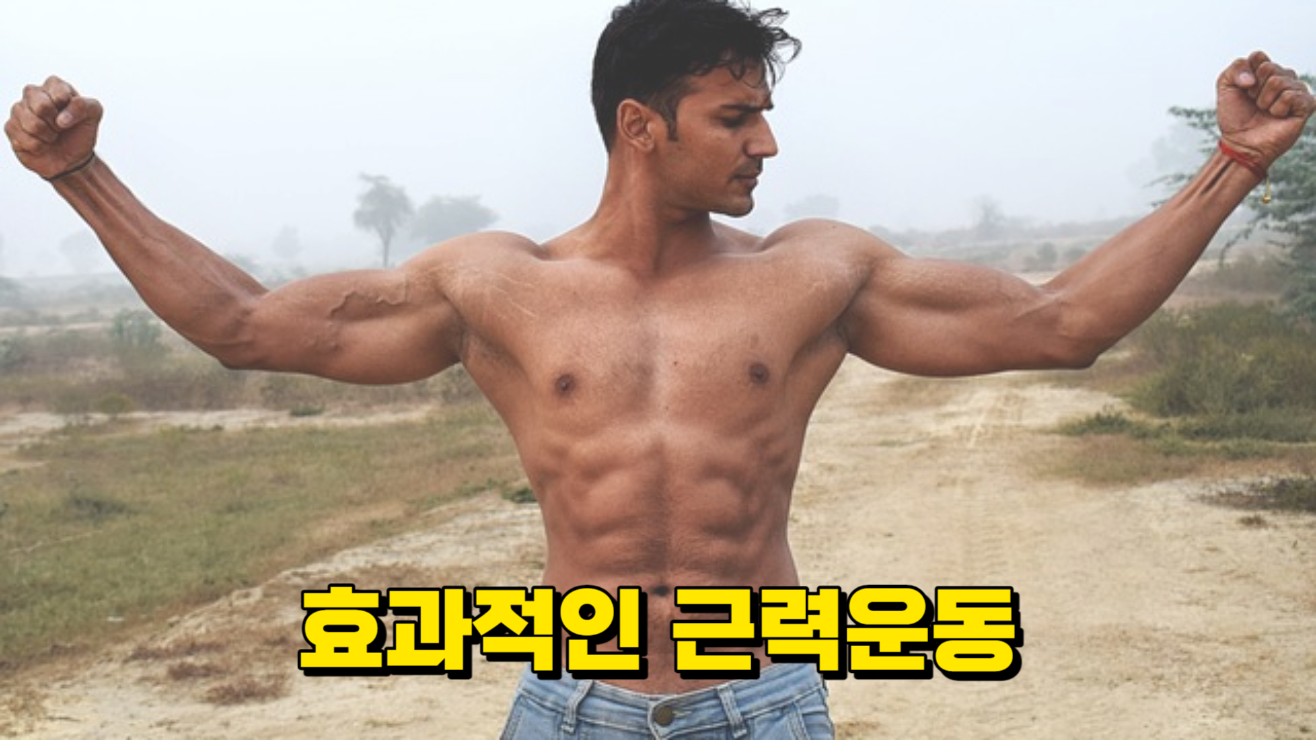 근력 운동 근육 발달