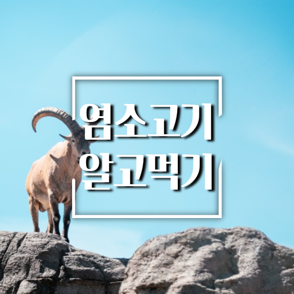 염소고기-알고먹기