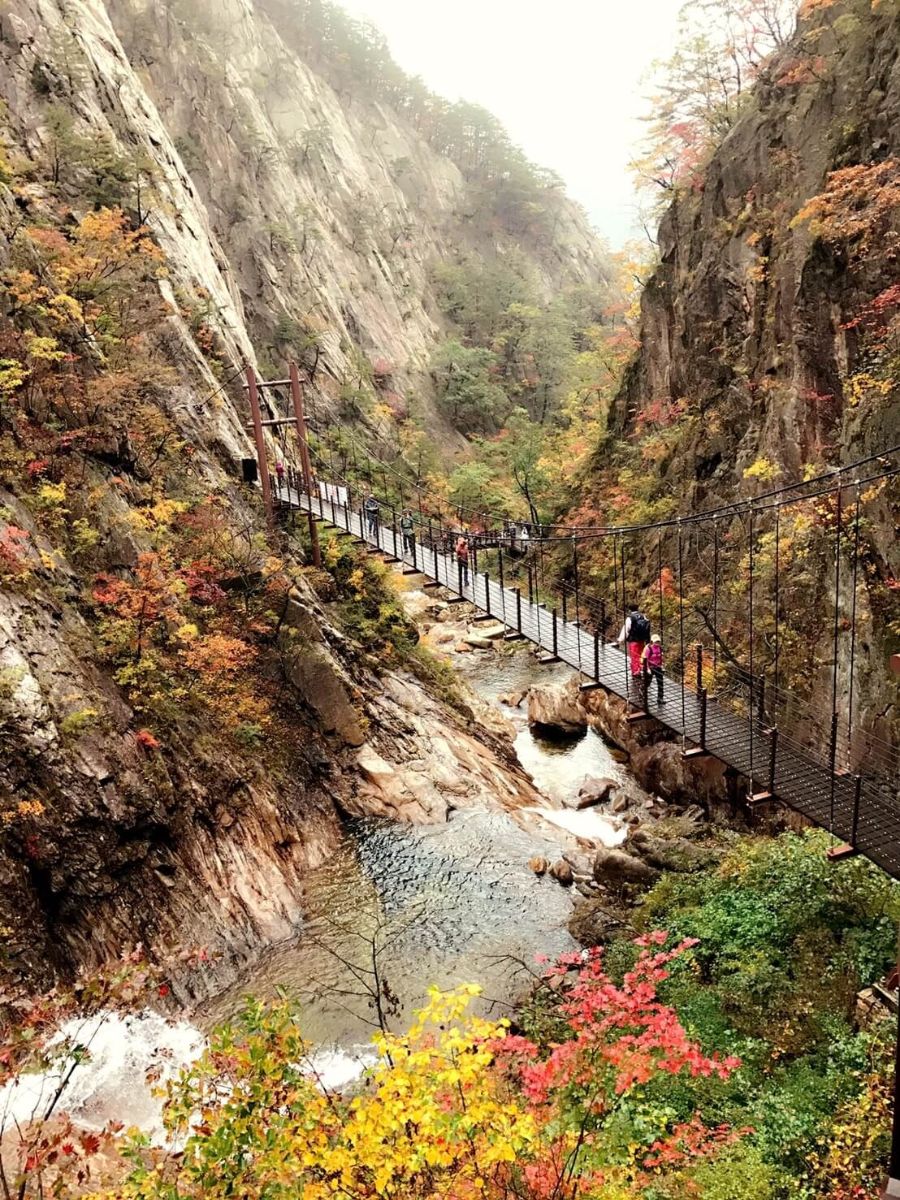 설악산 단풍철 여행 꿀팁
