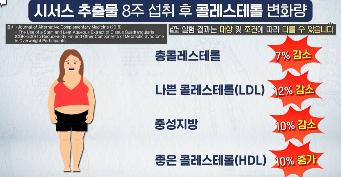 시서스 효능