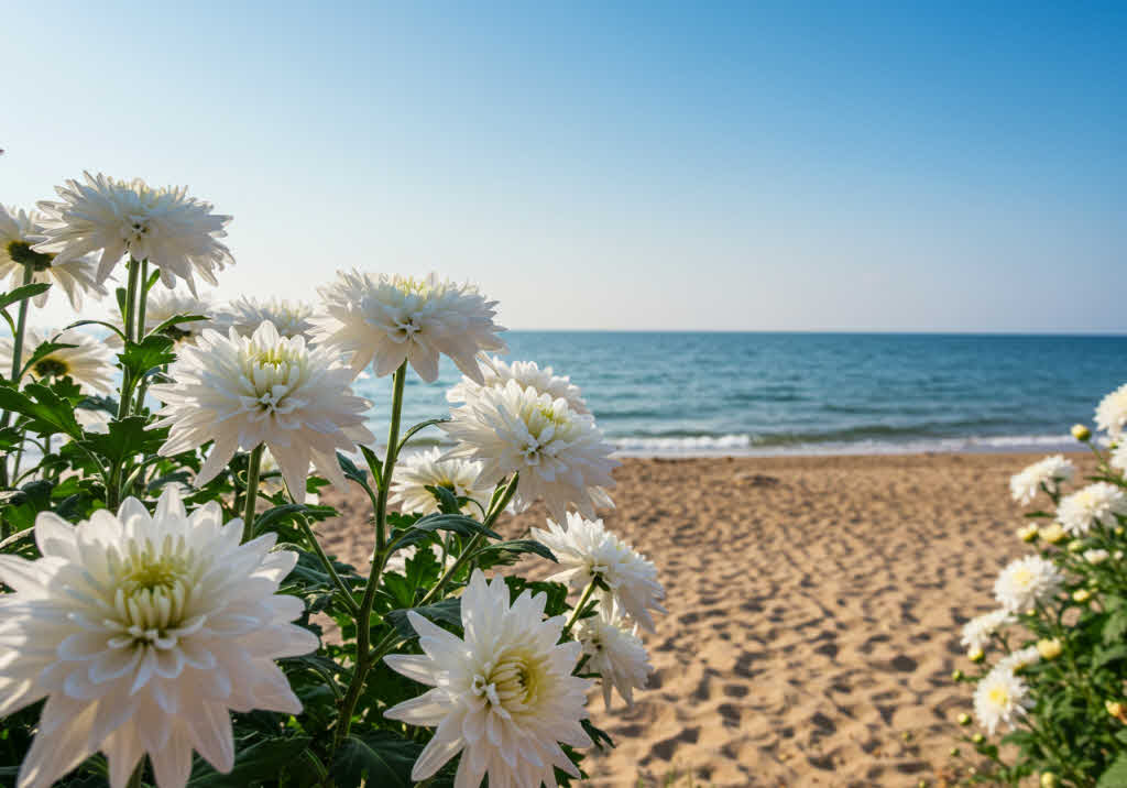 기초연금 신청 방법, 간단히 따라 해보세요.