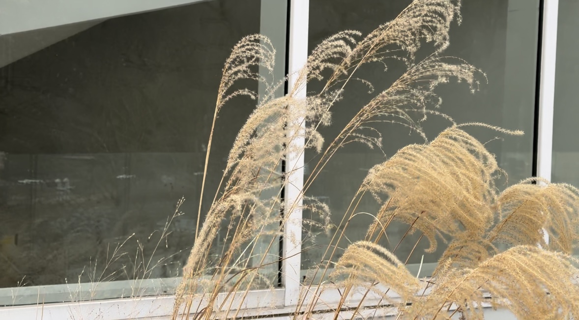 양주시립장욱진미술관