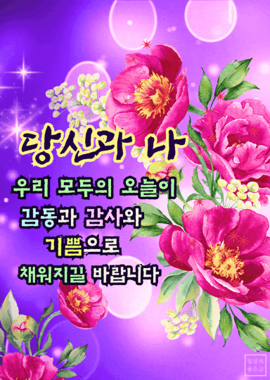 감동적인 시 이미지, 용혜원 시인 좋은글, 인생 명언 꽃 배경 사진
