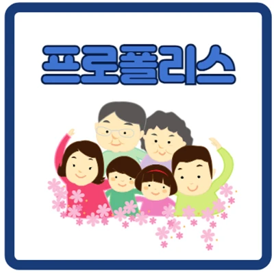 프로폴리스, 이런 사람에게 추천!