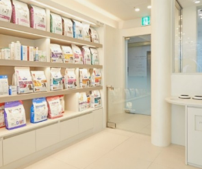 강아지 췌장염 증상