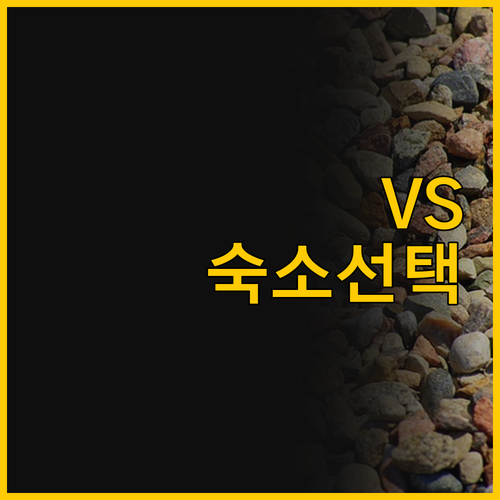 하롱 베이, 프라이빗 하우스 VS 럭..