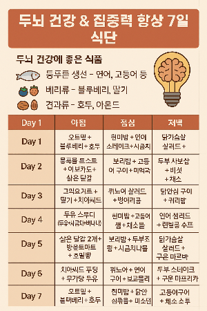 두뇌 건강과 집중력 향상에 좋은 식습관관렵