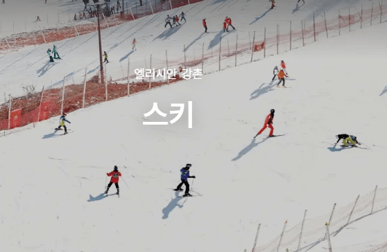 스키장 개장일정