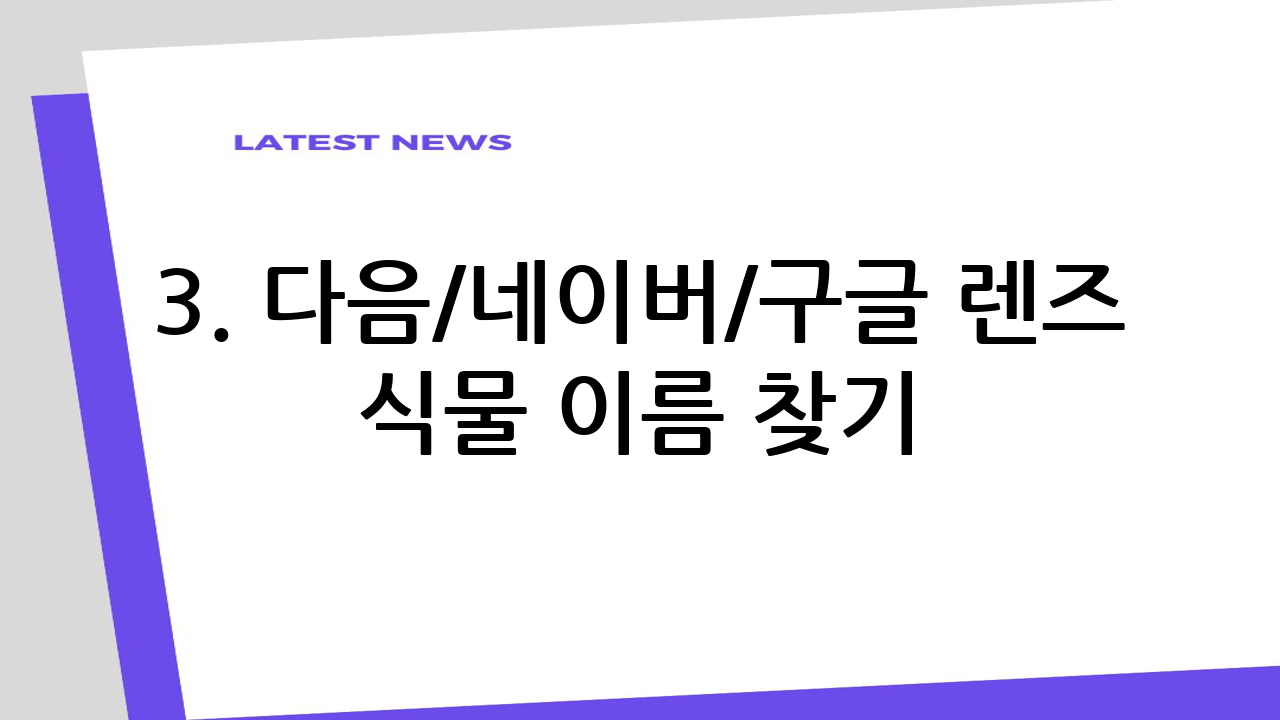 3. 다음/네이버/