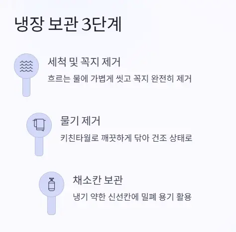 냉장 보관 3단계