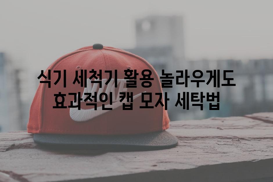 식기 세척기 활용 놀라우게도 효과적인 캡 모자 세탁법