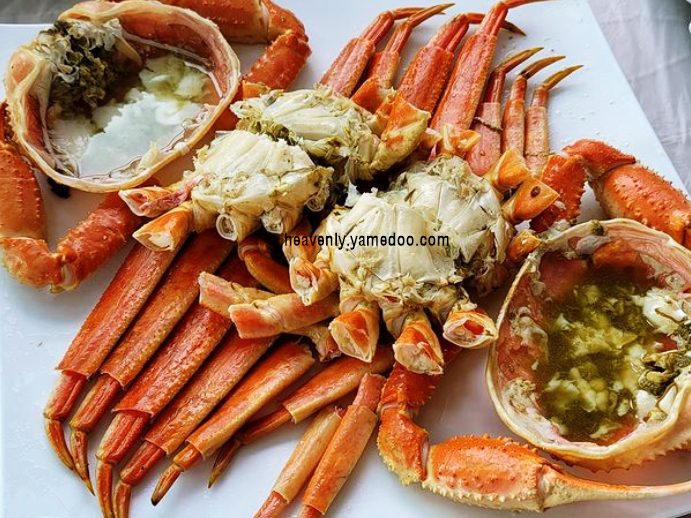 속초 맛집