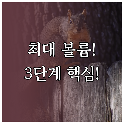 알람 볼륨 최대화와 작동 안정성을 위..