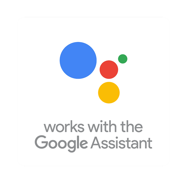 Google Assistant