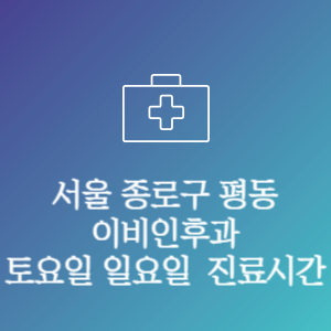 서울 종로구 평동 이비인후과 주말 토요일 일요일 문여는 병원 진료시간