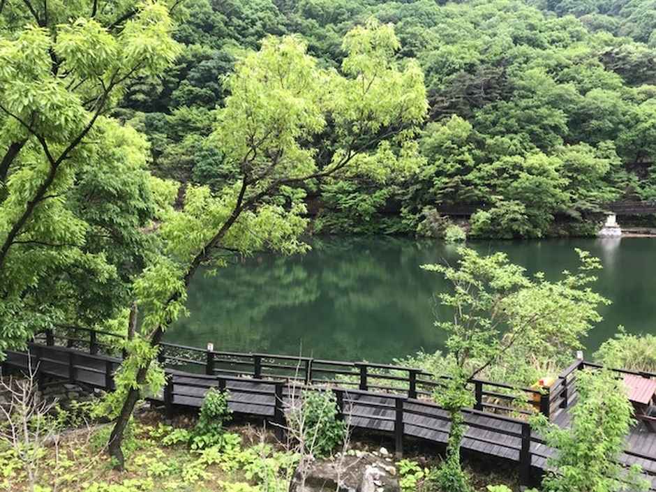 국립칠곡숲체원