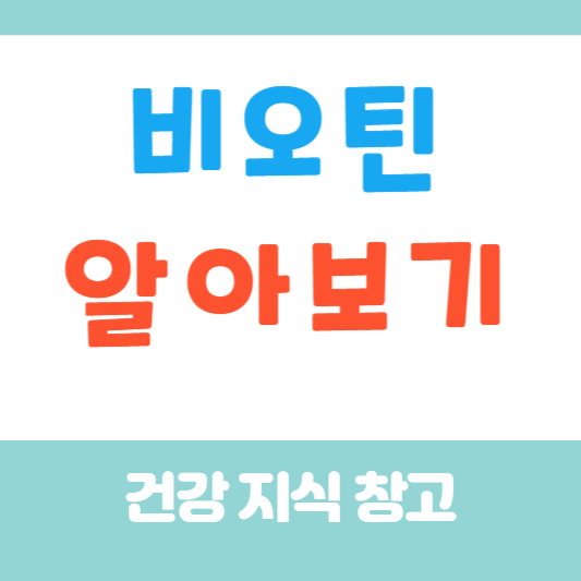 비오틴 효능