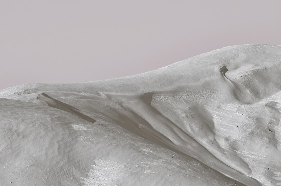 Pelvis