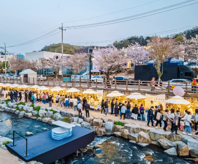 2024 벚꽃축제