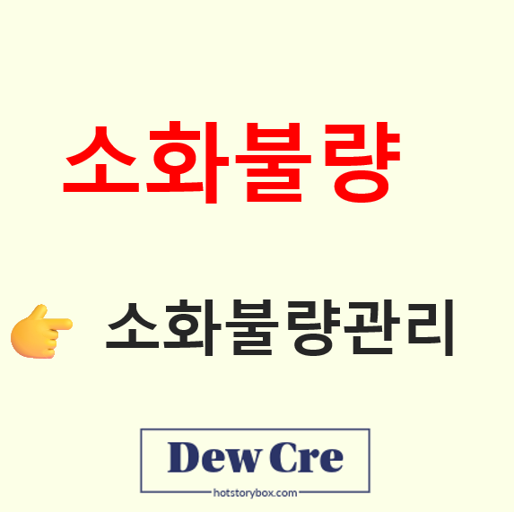 소화불량 지속될 때 의심 질환과 생활관리 방법