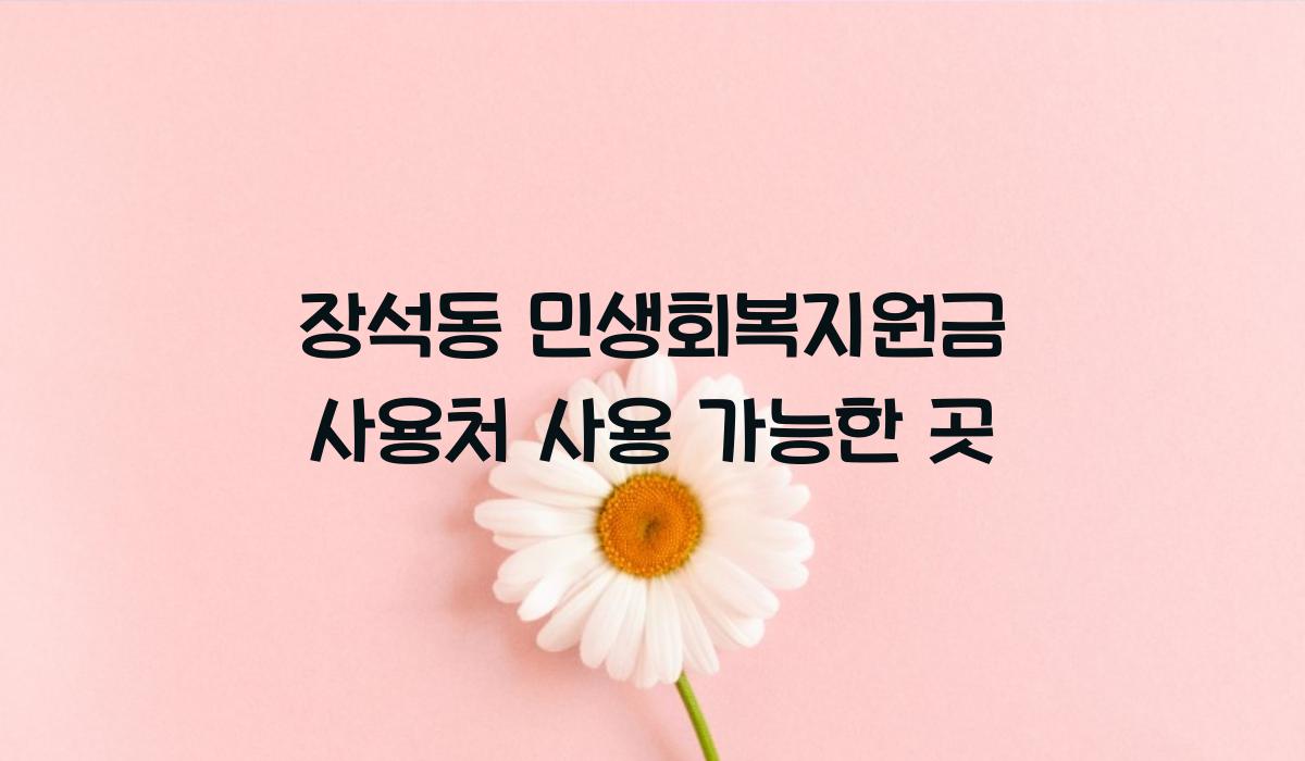 장석동 민생회복지원금 사용처 사용 가능한 곳  