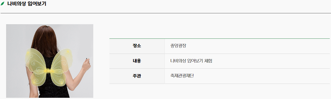 함평 나비 축제16