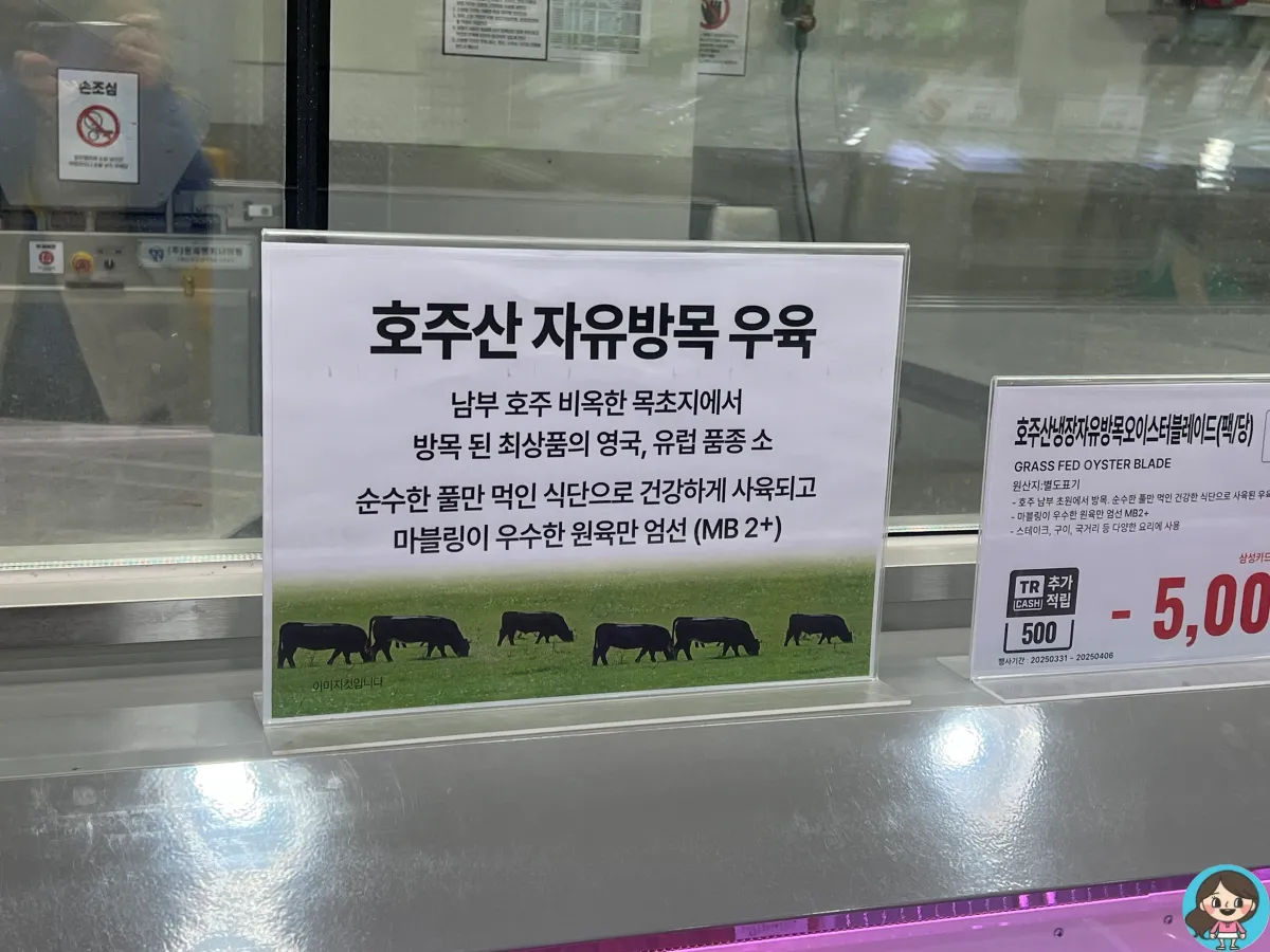 호주산-자유방목-우육