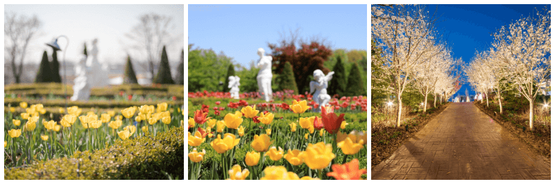 퍼스트가든 봄꽃축제 블루밍가든 사진 3개