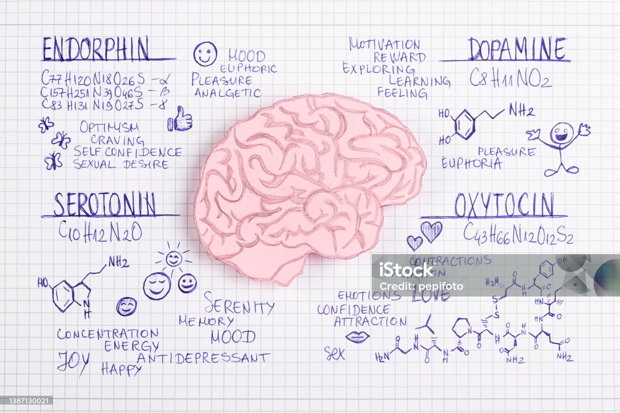 도파민과 집중력의 관계: 보상 시스템 최적화하기