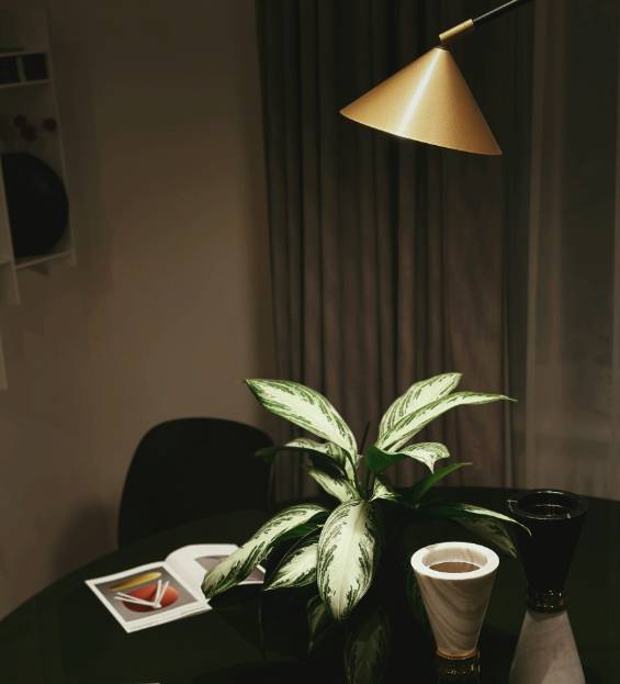 어두운 배경에 식탁위에 식물이 있고, 은은한 조명이 켜져 있는 모습