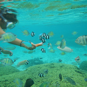 괌 여행 추천 이파오 비치 공원