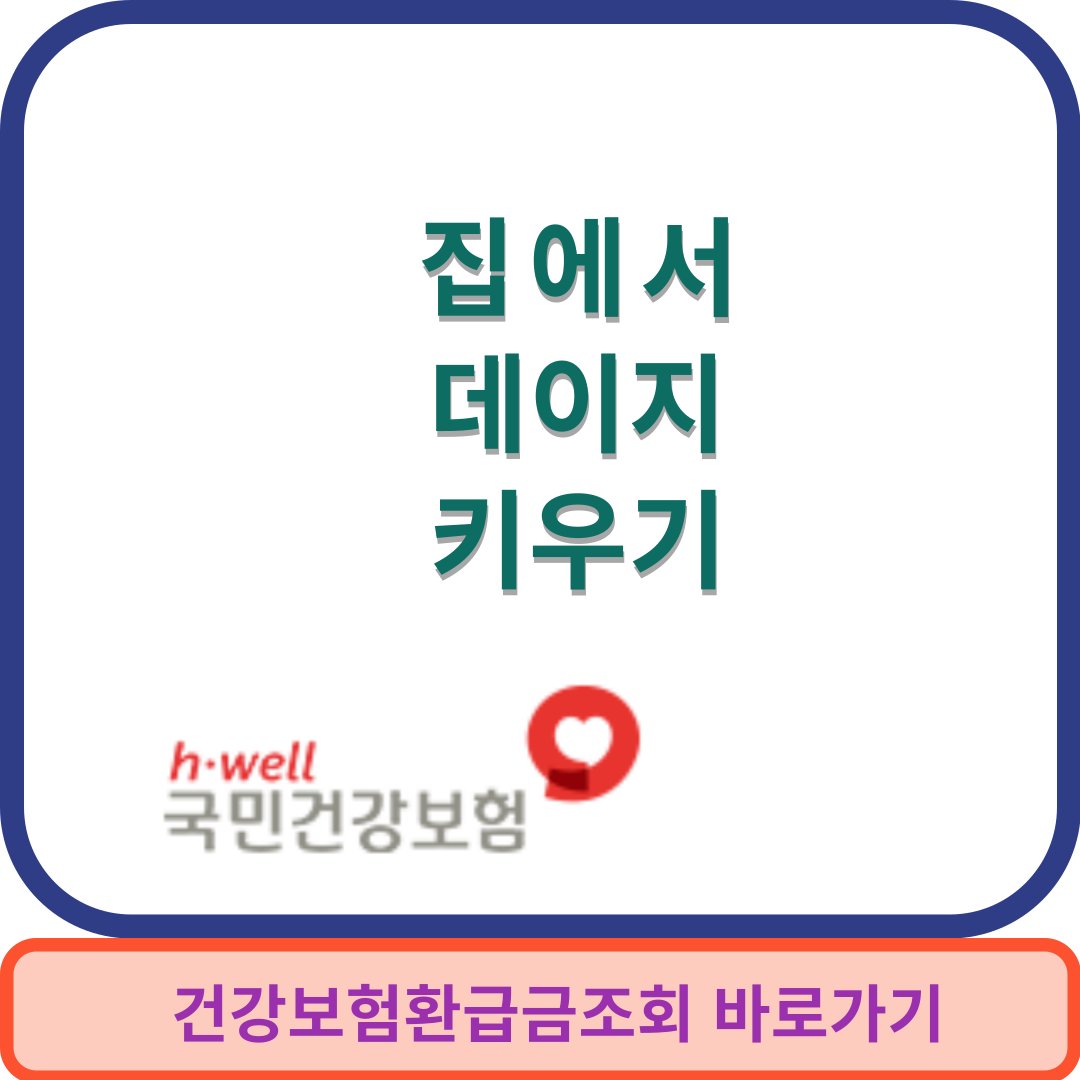 데이지키우기썸네일