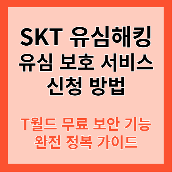 SKT 유심 해킹 유심 보호 서비스