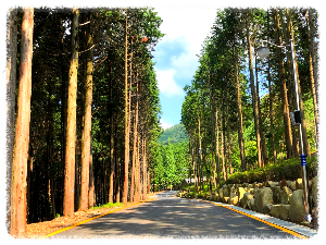 사천케이블카 자연휴양림