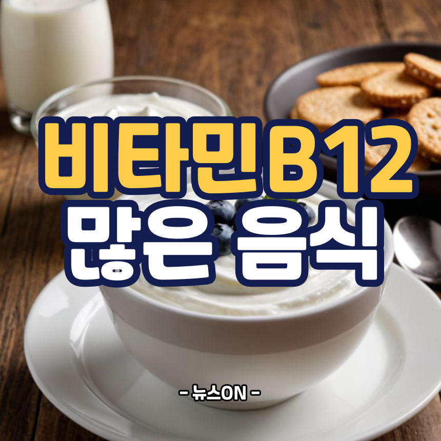 비타민b12가 많은 음식