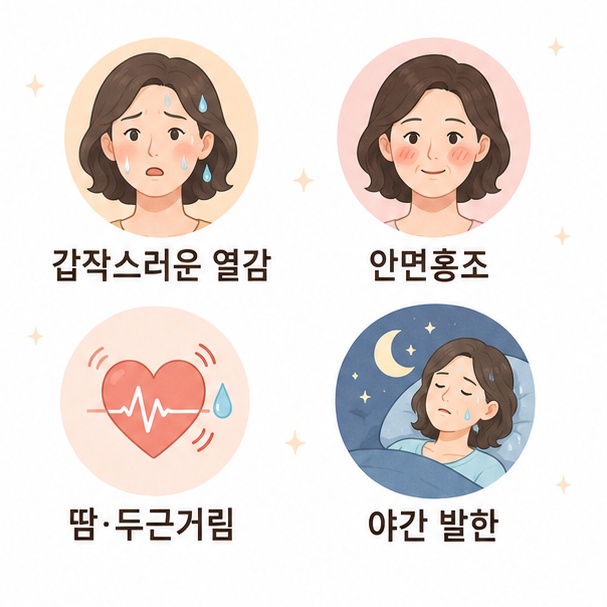 갱년기 안면홍조와 갑작스러운 열감, 발한, 두근거림, 야간 발한을 설명한 이미지
