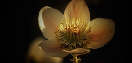 공공 텃밭 분양 시기 관련 사진