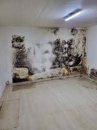 2025 에너지&middot;주거환경 개선 연계 건강지원 프로그램 신청하기