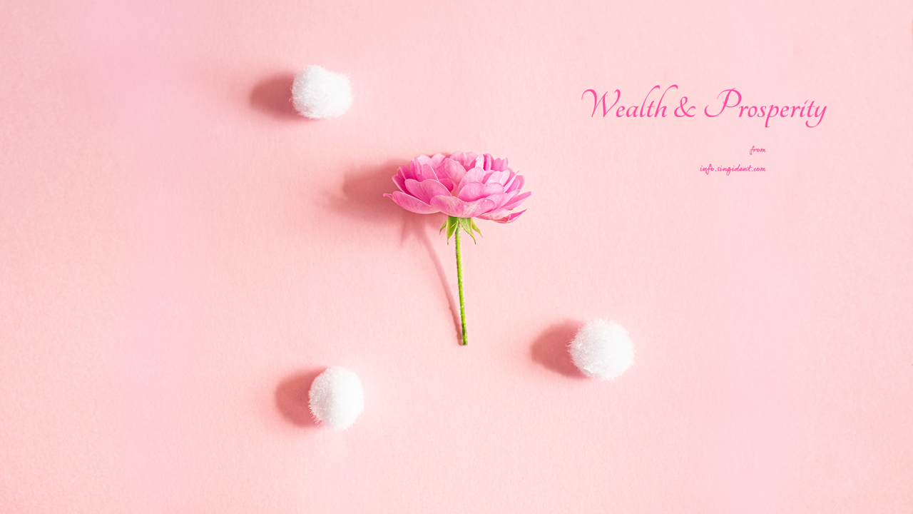 07 모란꽃 한송이 C - Wealth and Prosperity 복들어오는배경화면