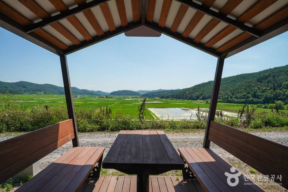 우포 출렁다리