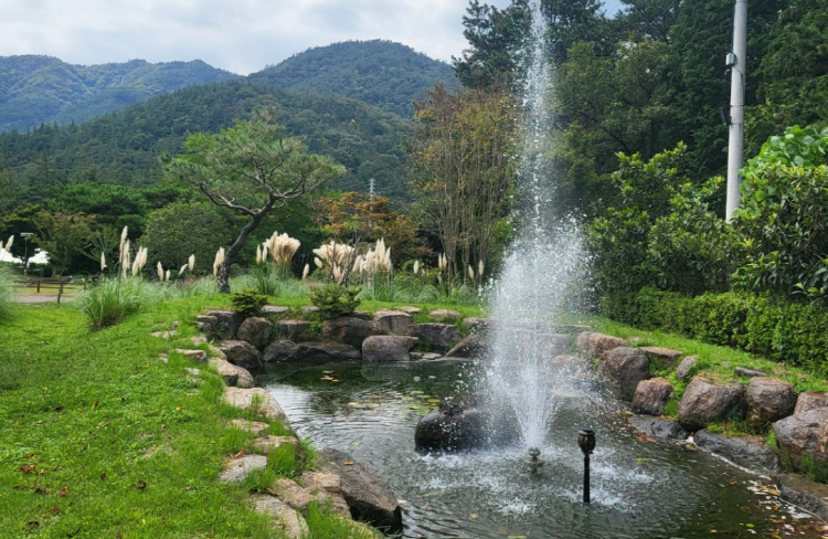 장흥 하늘빛수목원