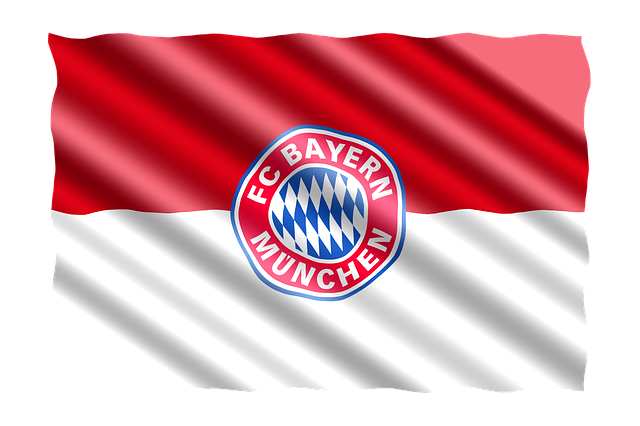 바이에른 뮌헨 볼프스부르크