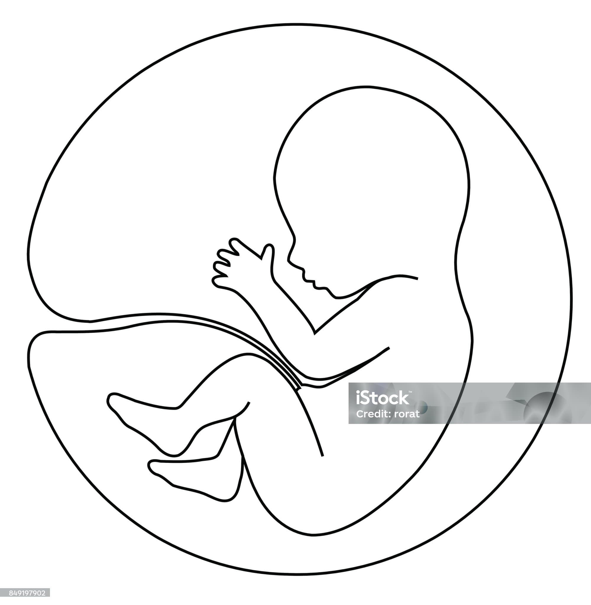 기침할 때 쌕쌕거리는 아기, 혹시 기관지 문제?(1편)