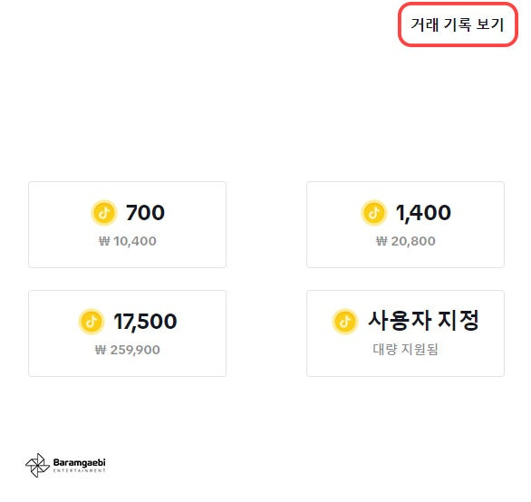 틱톡 코인 구매