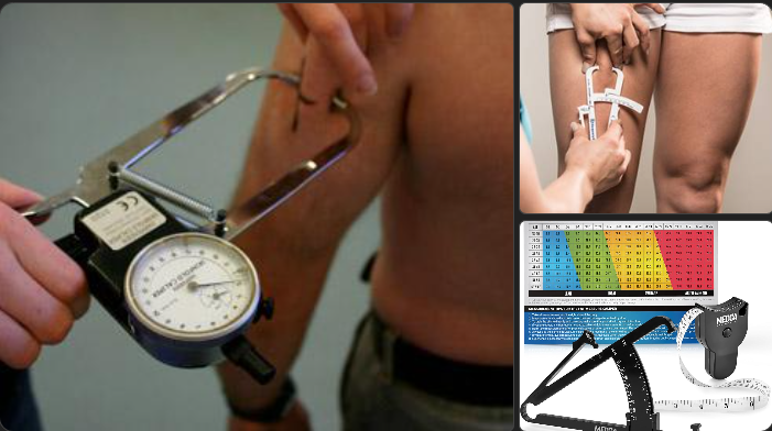 체지방률 표, 정상 범위는... 캘리퍼