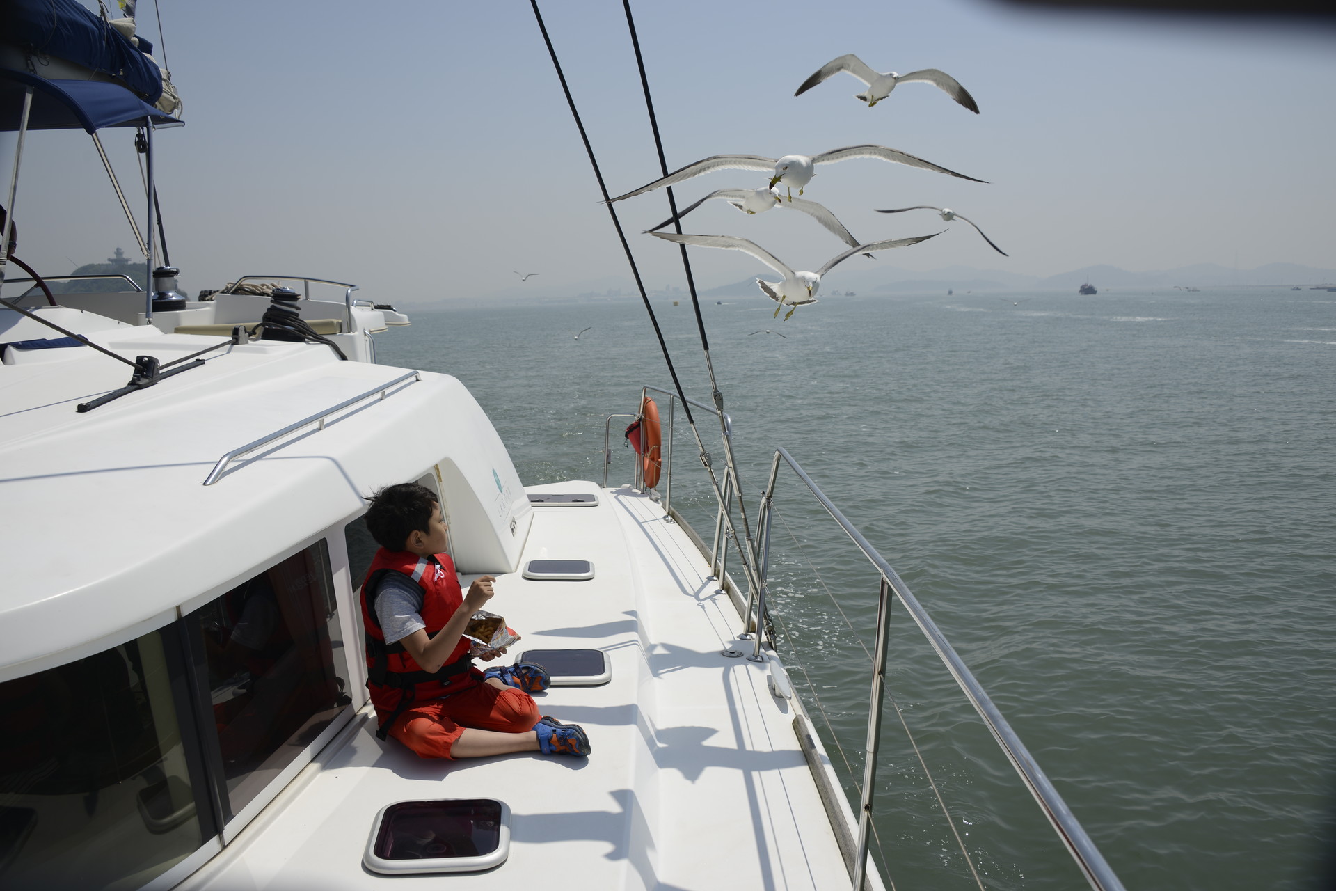 화성 뱃놀이 축제